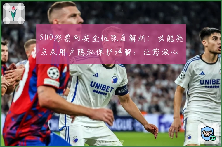 500彩票网安全性深度解析：功能亮点及用户隐私保护详解，让您放心体验