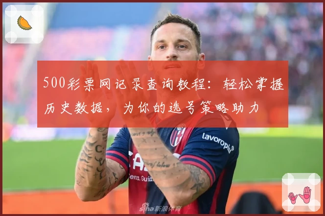 500彩票网记录查询教程：轻松掌握历史数据，为你的选号策略助力