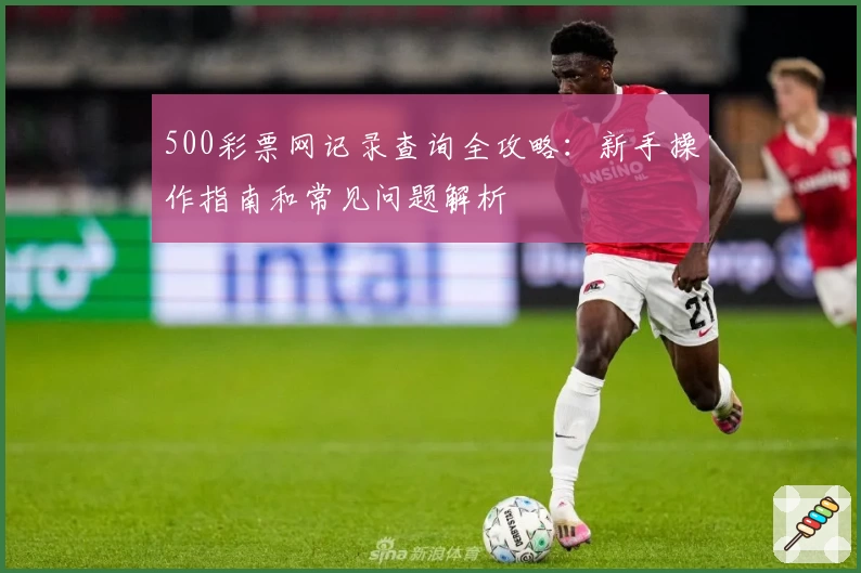 500彩票网记录查询全攻略：新手操作指南和常见问题解析